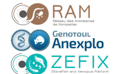 Journée RAM Anexplo ZEFIX 2025